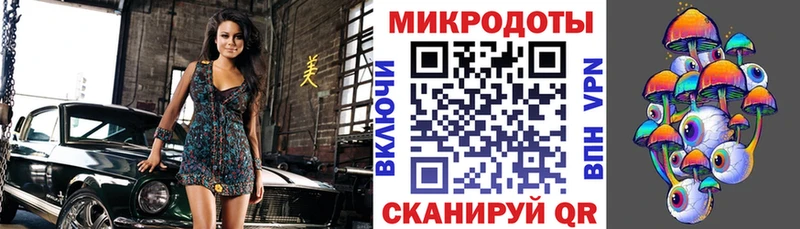 сколько стоит Борзя Псилоцибиновые грибы Magic Shrooms